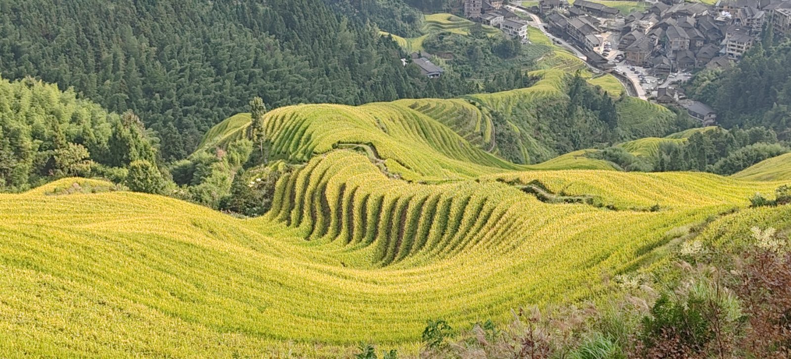 美丽的桂林龙胜梯田